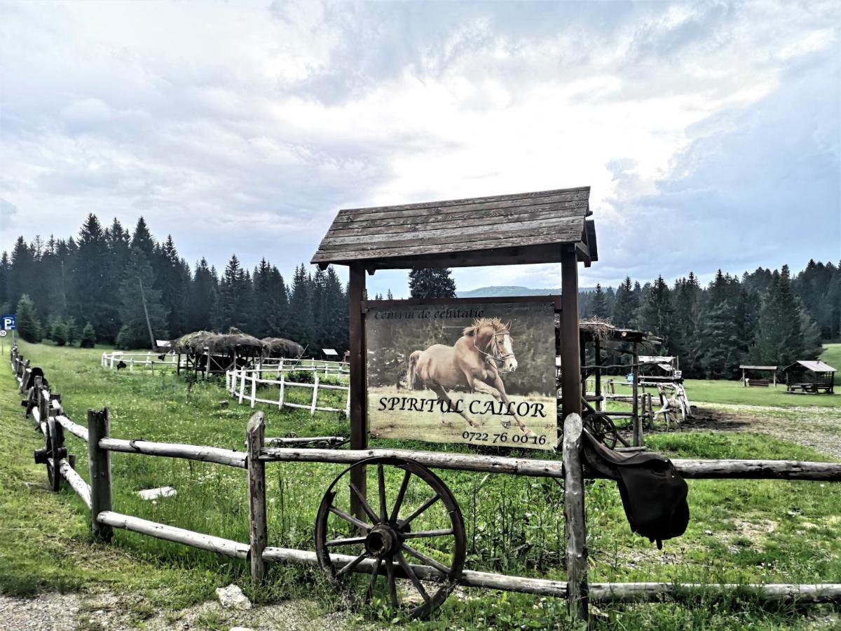 The Evergreen Nest - Silver Mountain Poiana Brașov Zewnętrze zdjęcie