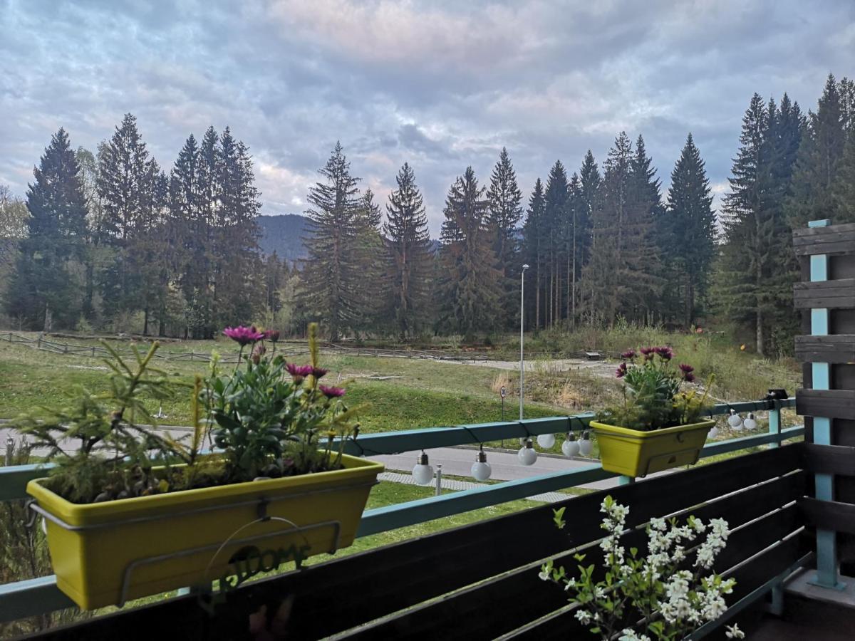 The Evergreen Nest - Silver Mountain Poiana Brașov Zewnętrze zdjęcie