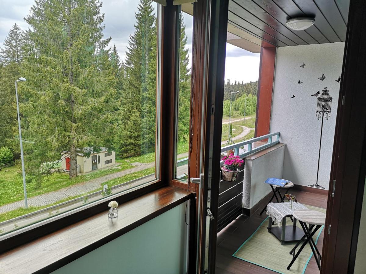 The Evergreen Nest - Silver Mountain Poiana Brașov Zewnętrze zdjęcie