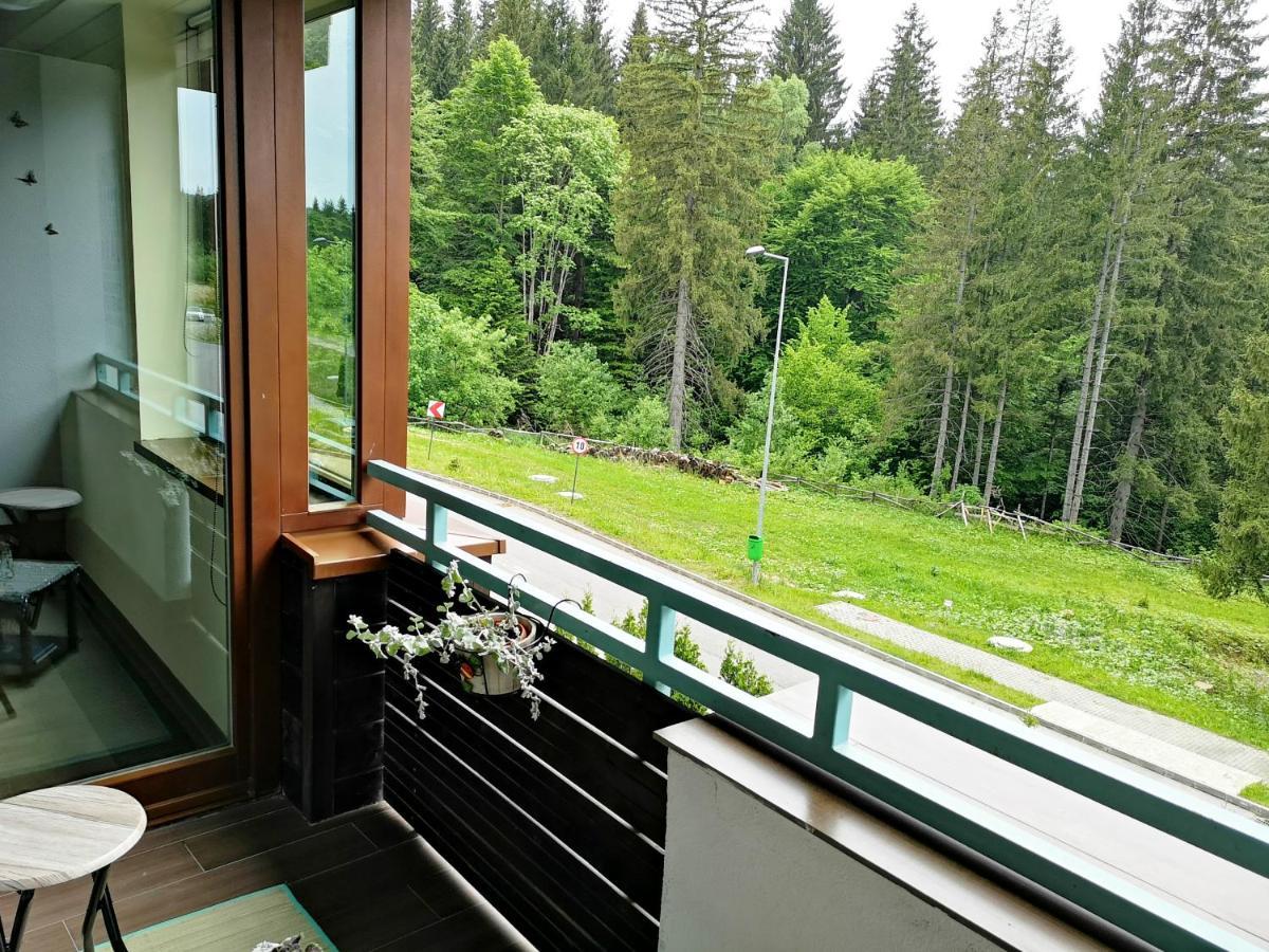 The Evergreen Nest - Silver Mountain Poiana Brașov Zewnętrze zdjęcie