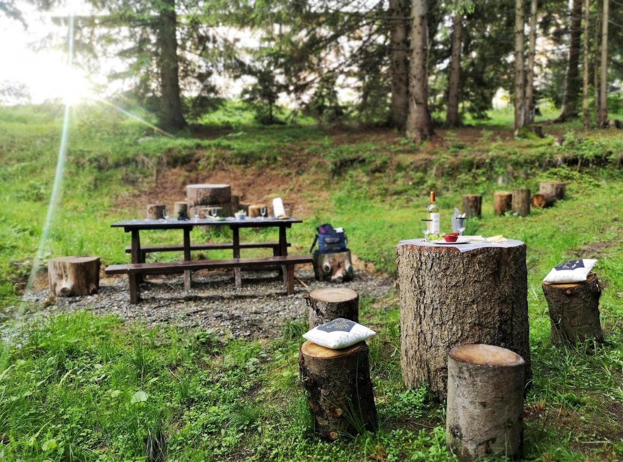 The Evergreen Nest - Silver Mountain Poiana Brașov Zewnętrze zdjęcie