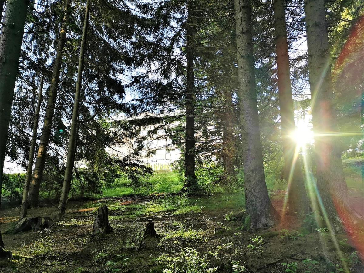 The Evergreen Nest - Silver Mountain Poiana Brașov Zewnętrze zdjęcie
