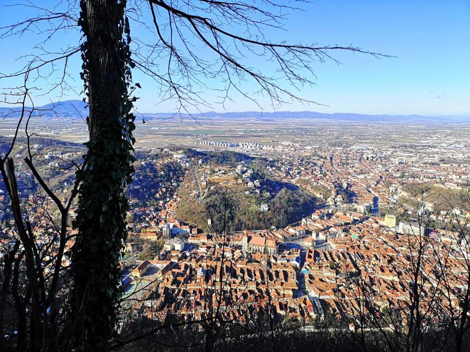 The Evergreen Nest - Silver Mountain Poiana Brașov Pokój zdjęcie