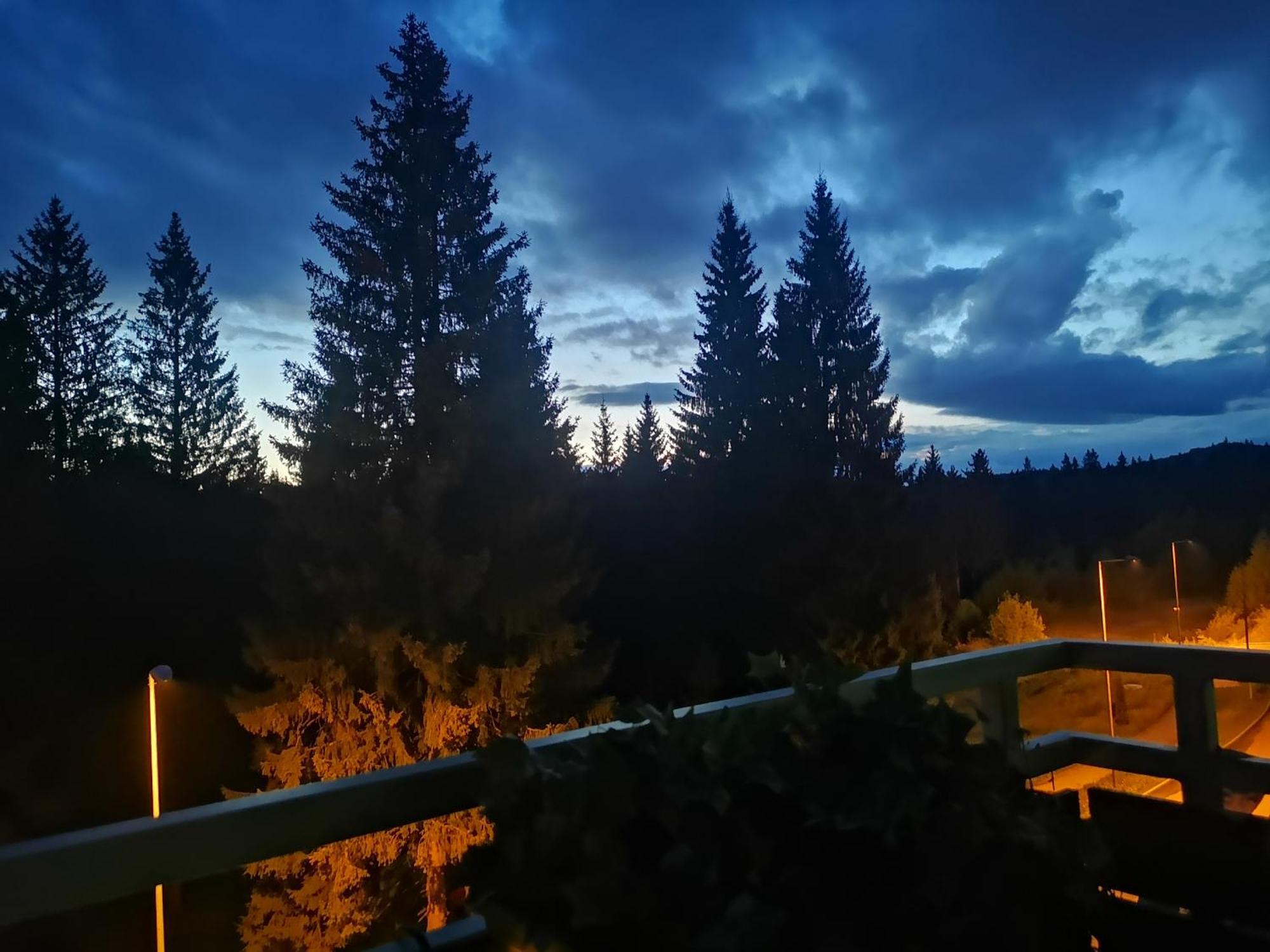 The Evergreen Nest - Silver Mountain Poiana Brașov Pokój zdjęcie