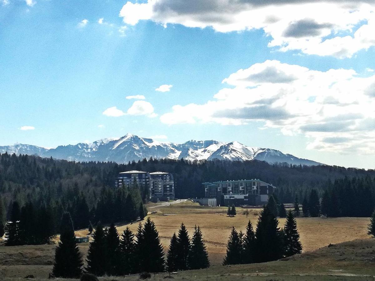 The Evergreen Nest - Silver Mountain Poiana Brașov Zewnętrze zdjęcie